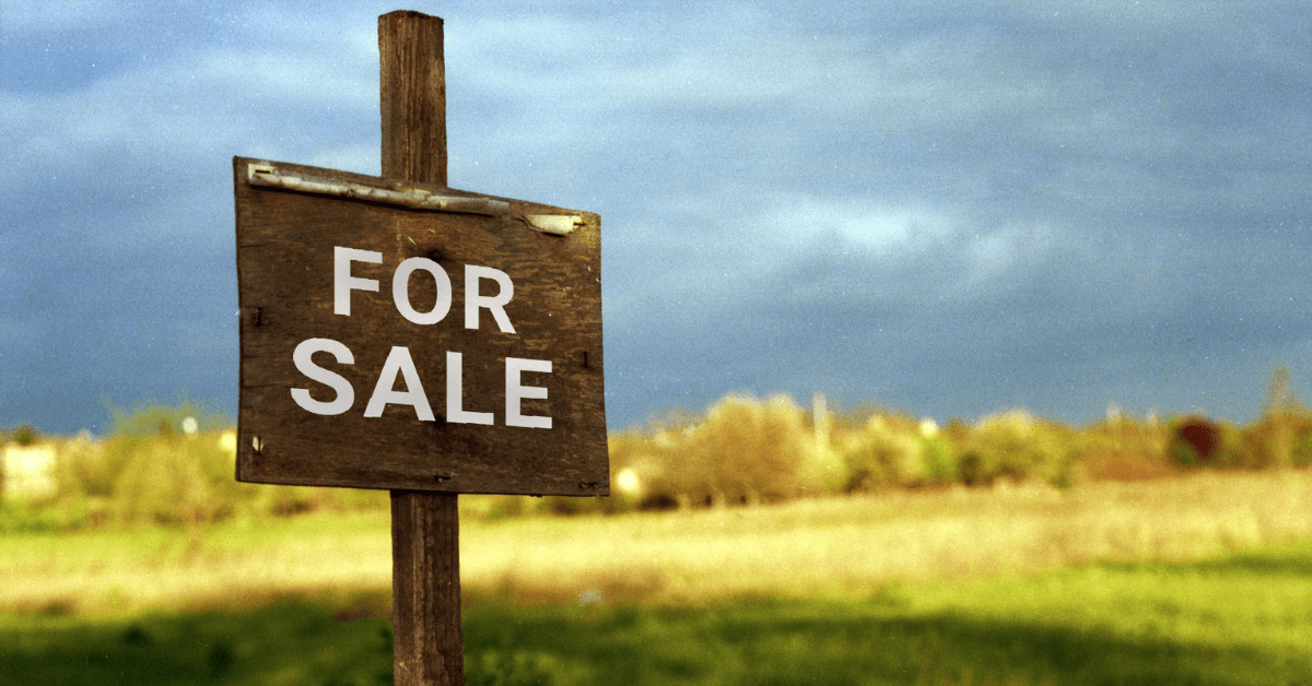Featured Image for What Sells Hunting Land?